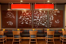  - TownePlace Suites by Marriott Shenandoah - I-45, Exit 77