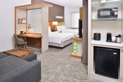  - SpringHill Suites by Marriott Dulles North Ashburn