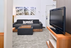  - SpringHill Suites by Marriott Dulles North Ashburn