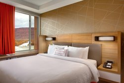  - SpringHill Suites by Marriott Moab