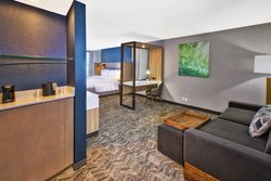  - SpringHill Suites by Marriott Benton Harbor - I-94, Exit 29
