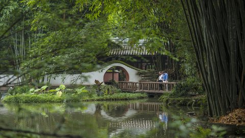 INTERCONTINENTAL CHENGDU GLOBAL - Photo 43