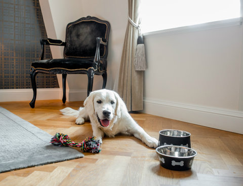 HOTEL SCHWEIZERHOF BERN - Photo 35