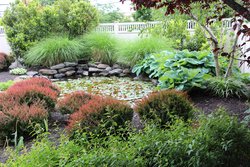  - Courtyard by Marriott Hotel Meadowlands Lyndhurst