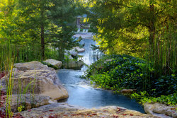  - Marriott Vacation Club Willow Ridge Lodge Branson