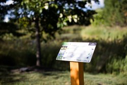  - Renaissance Hotel and Convention Center Schaumburg