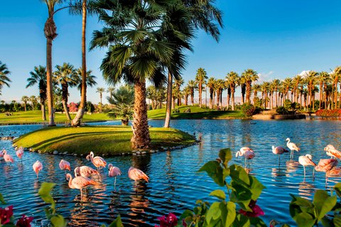 JW MARRIOTT DESERT SPRINGS RESORT & SPA - Photo 2