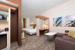  - SpringHill Suites by Marriott Orion Township