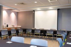  - SpringHill Suites by Marriott Orion Township