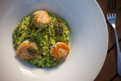  - Marriott Hotel West Palm Beach - I-95, Exit 70