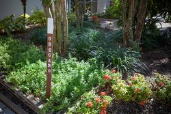  - Marriott Hotel West Palm Beach - I-95, Exit 70