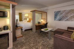  - SpringHill Suites by Marriott University Lake Anchorage