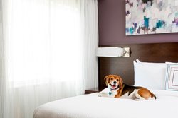  - Residence Inn by Marriott Downtown West Palm Beach