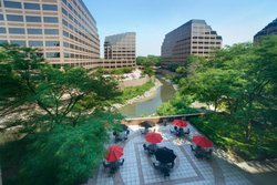  - Marriott Suites Chicago O'Hare Airport Rosemont
