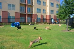  - Residence Inn by Marriott The Colony