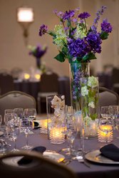  - Marriott Hotel Addison Airport