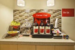  - TownePlace Suites by Marriott Livonia