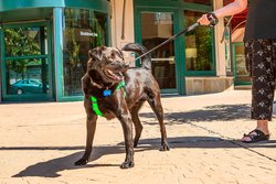  - Residence Inn by Marriott New Rochelle - I-95, Exit 16