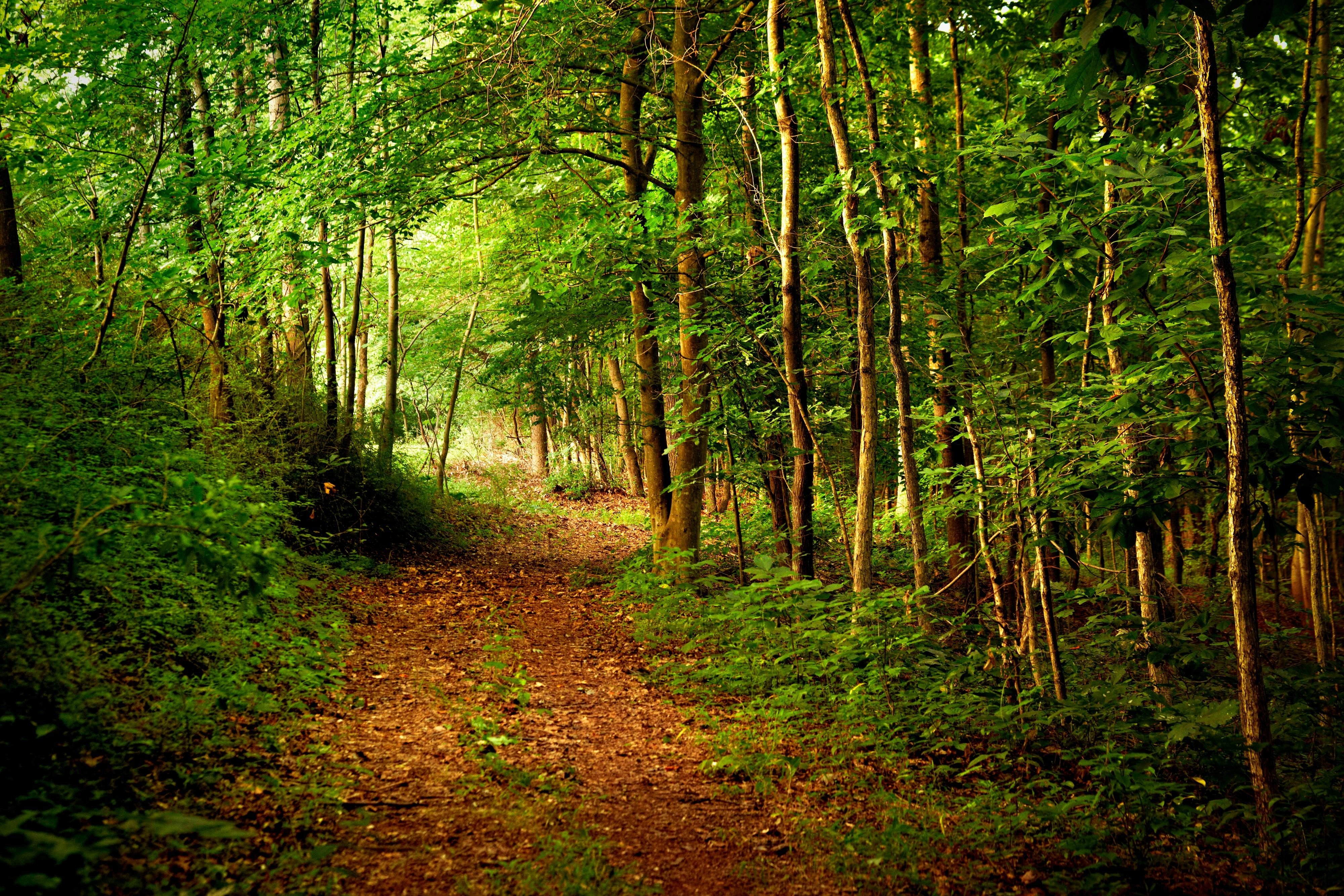 Nature Trails