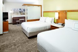  - SpringHill Suites by Marriott Bush Airport Houston
