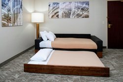  - SpringHill Suites by Marriott Frankenmuth