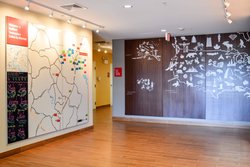  - TownePlace Suites by Marriott Stafford - I-95, Exit 143