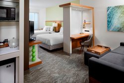  - SpringHill Suites by Marriott Bakery Square Pittsburgh