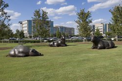  - Staybridge Suites Charlotte