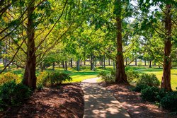  - Residence Inn by Marriott Williamsburg