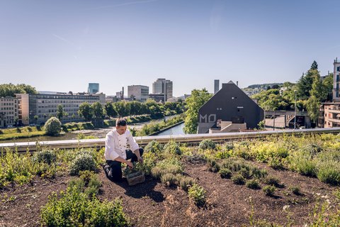 ZURICH MARRIOTT HOTEL - Photo 46