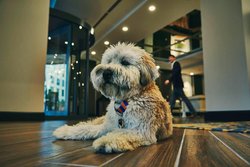  - Draftsman Hotel Charlottesville