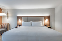  - Holiday Inn Express & Suites North Addison