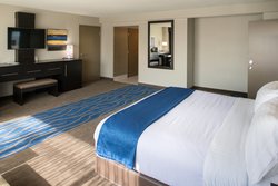  - Holiday Inn Downtown Convention Center St Louis - I-44, Exits 292 & 292B