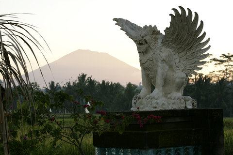 VICEROY BALI - Photo 2