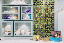  - Hotel Indigo Patriots Point Mt Pleasant