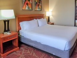  - Holiday Inn Express & Suites Orange City - I-4, Exit 111