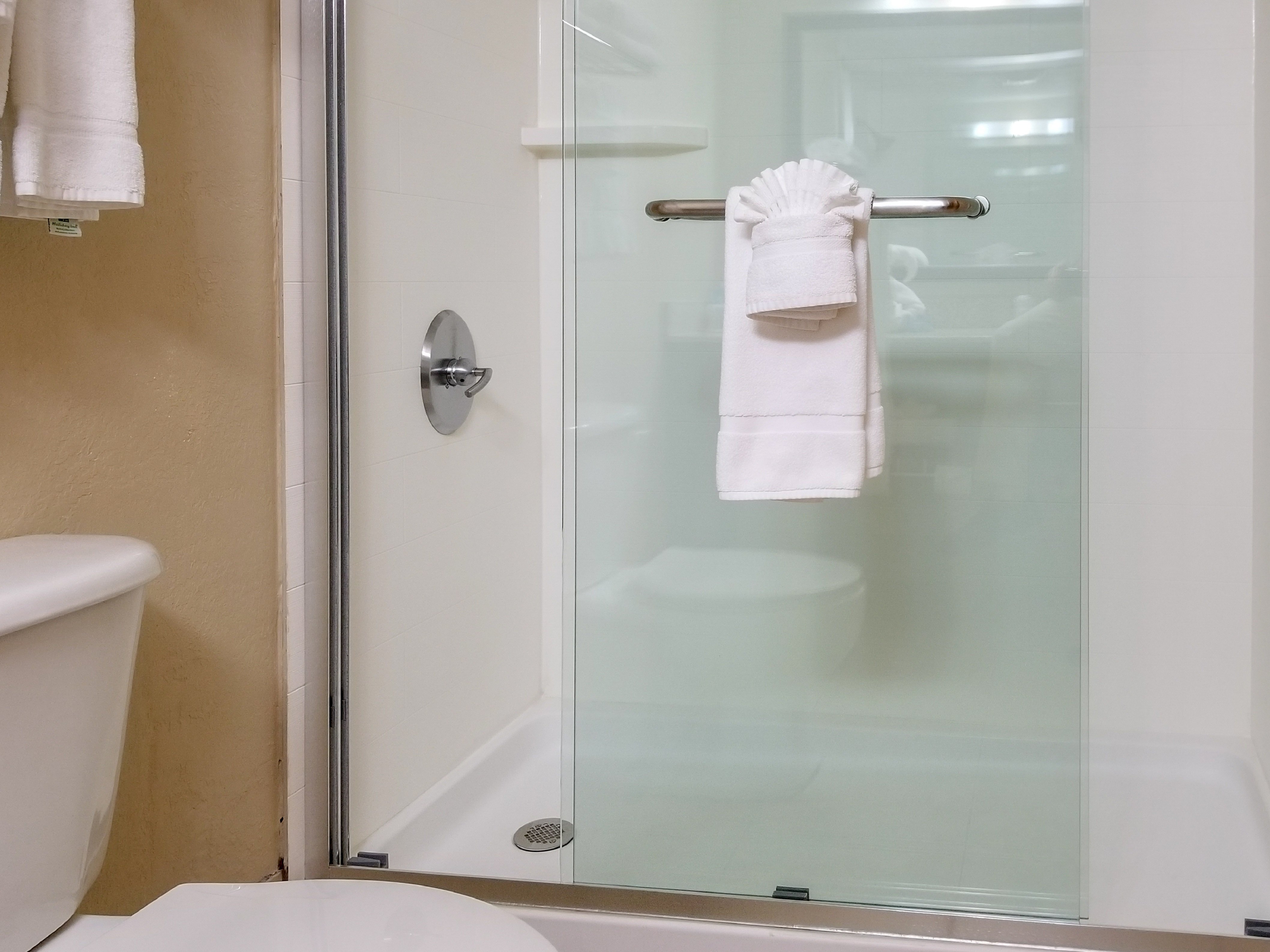 Suite shower walk-in with glass barn-door sliders