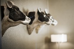  - Holiday Inn Express & Suites Central Madison