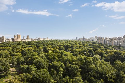THE RITZ-CARLTON CENTRAL PARK - Photo 24