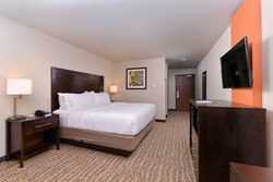  - Holiday Inn Express & Suites Tomball