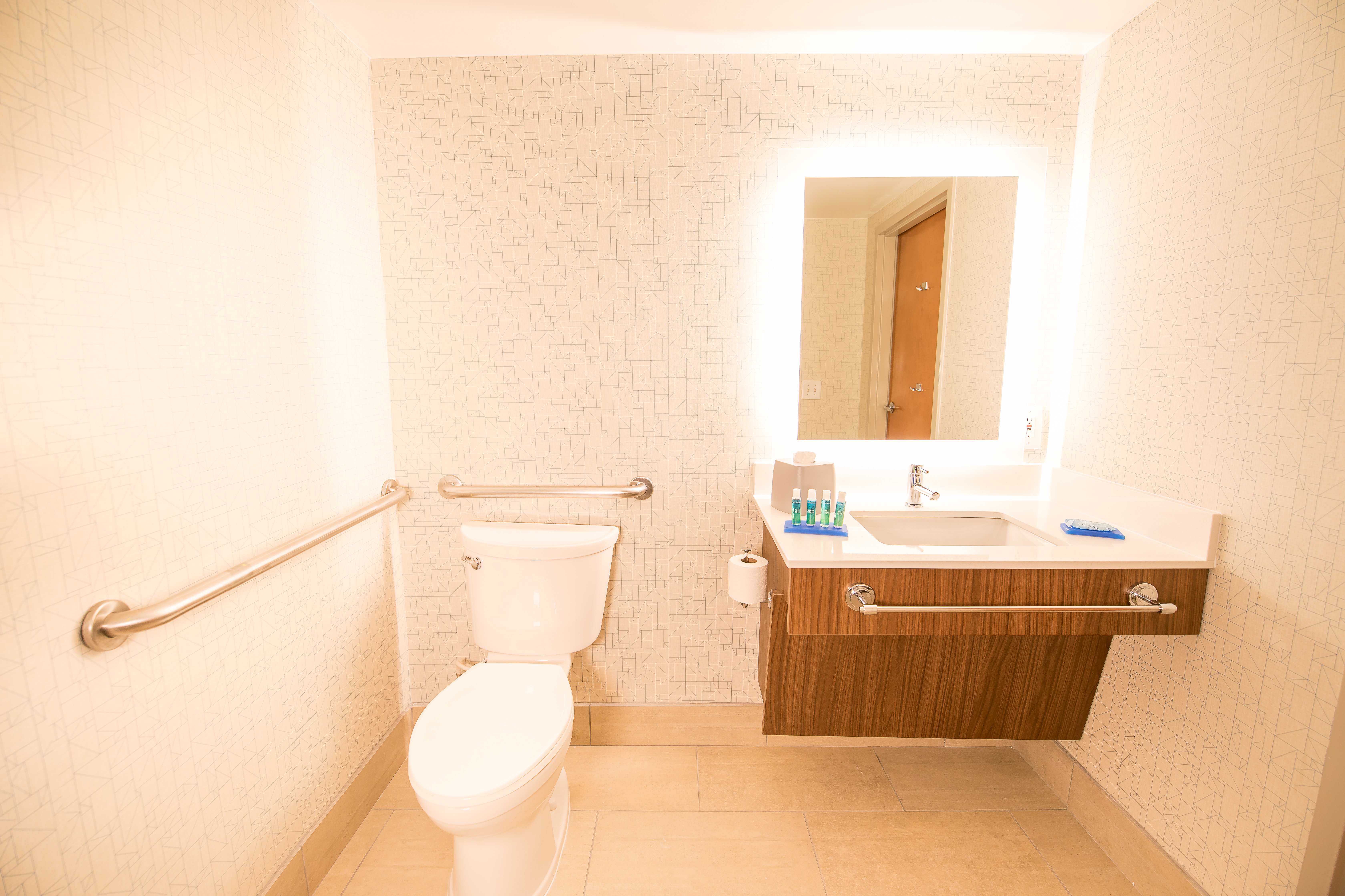 HOLIDAY INN-EXP STONE MOUNTAIN BY I-guestroom-Handicap Accessible Guest Bathroom.jpg