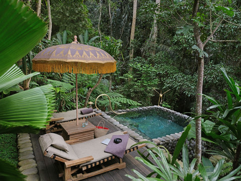 CAPELLA UBUD, BALI - Photo 10