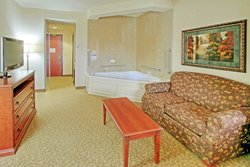  - Holiday Inn Express & Suites Las Cruces - I-10, Exit 142