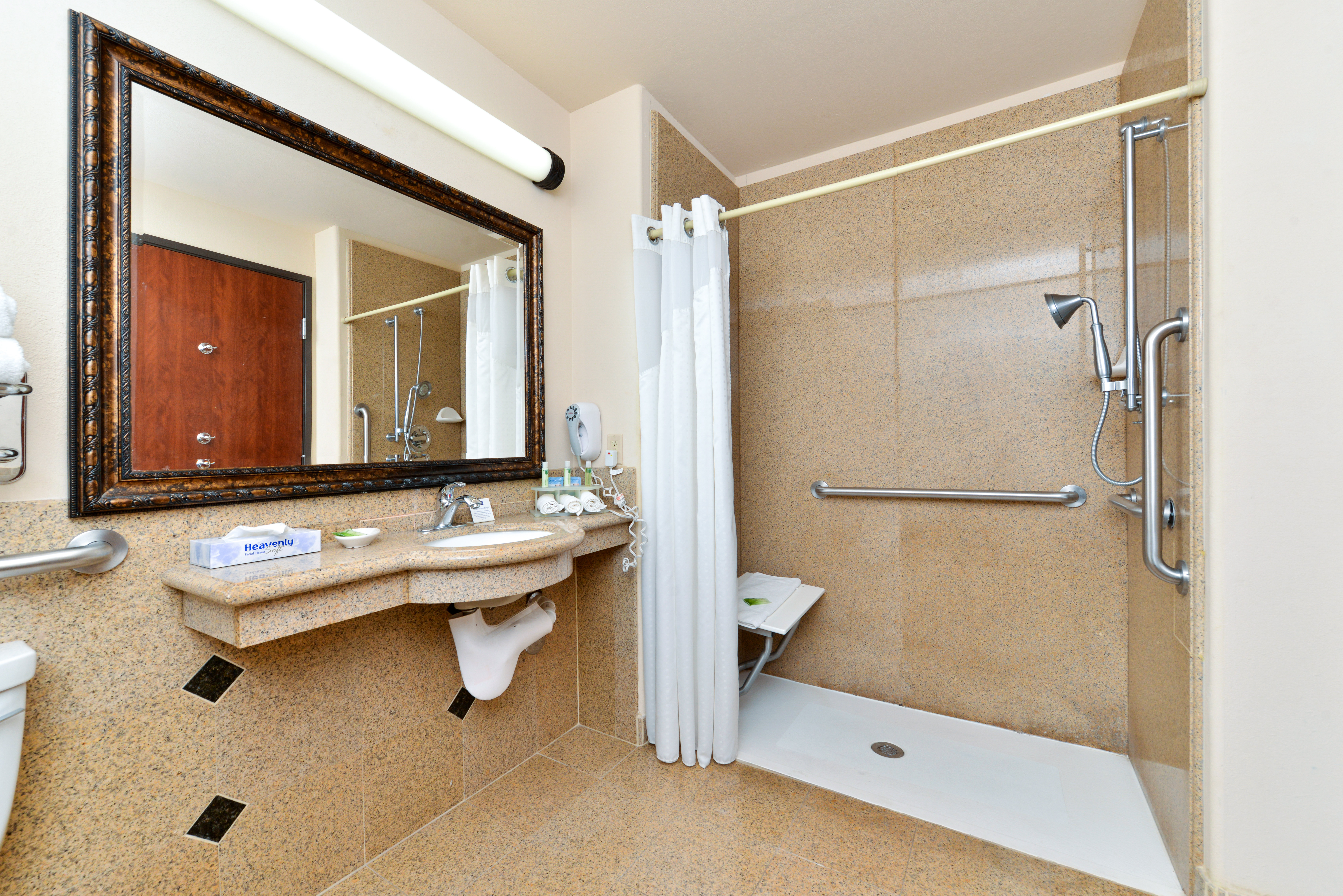 HOLIDAY INN EXP STES LAS CRUCES BY-guestroom-Wheelchair Accessible.jpg