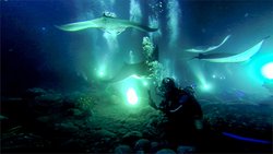  - Holiday Inn Express & Suites Kailua-Kona