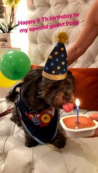  - Beacon South Beach Hotel Miami Beach