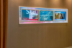  - SpringHill Suites by Marriott Centreville - I-66, Exit 52