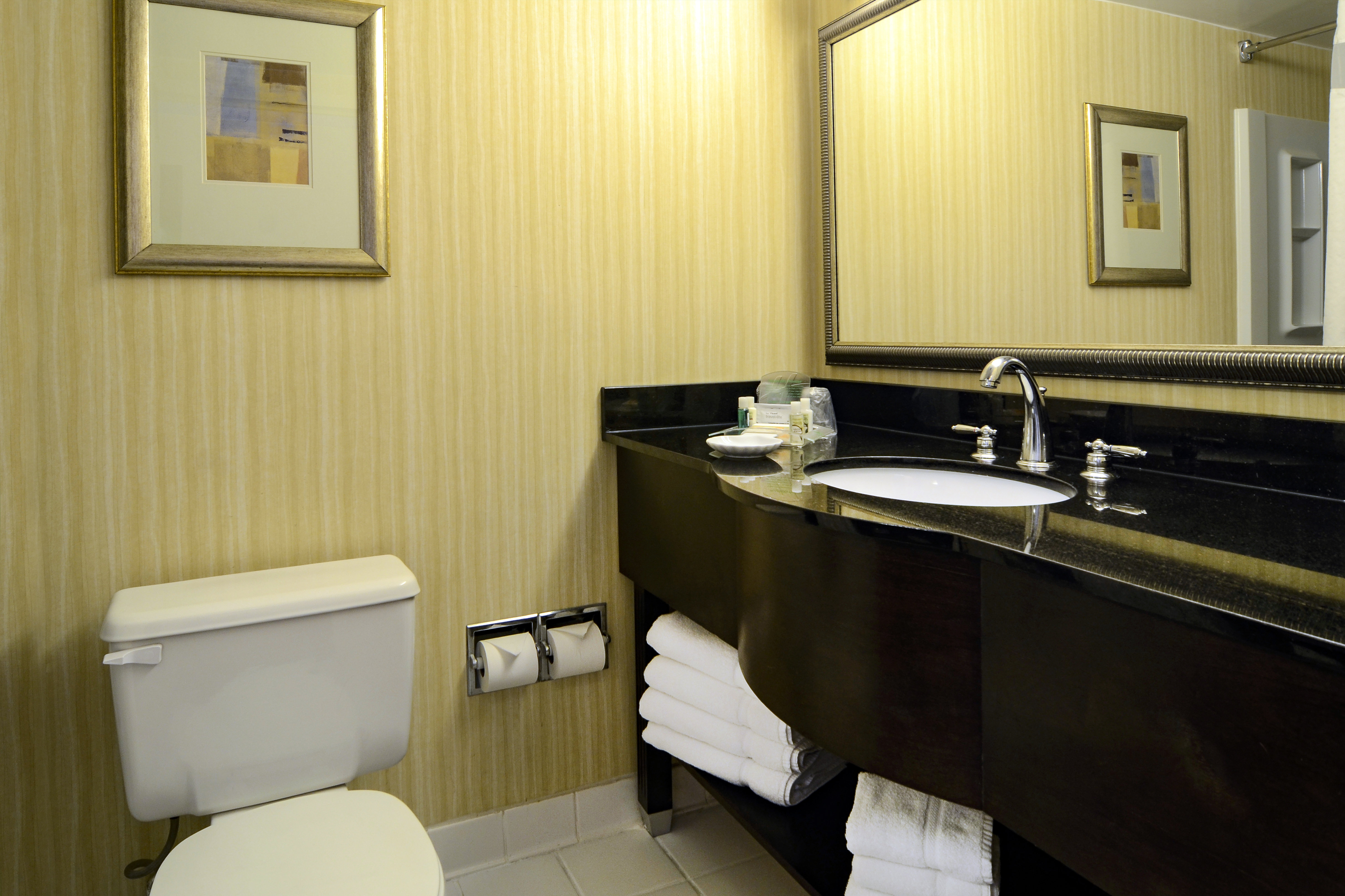 HOLIDAY INN DC GREENBELT BY IHG-guestroom-Guest room bathrooms.jpg
