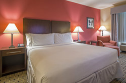  - Holiday Inn Express & Suites Webster - I-45, Exit 25