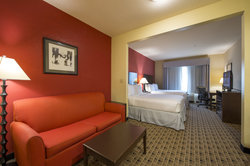  - Holiday Inn Express & Suites Webster - I-45, Exit 25
